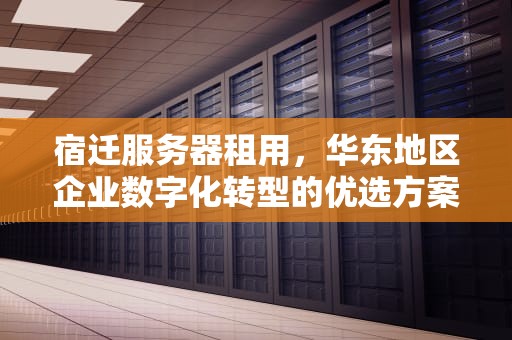 宿迁服务器租用，华东地区企业数字化转型的优选方案，宿迁服务器租用公司