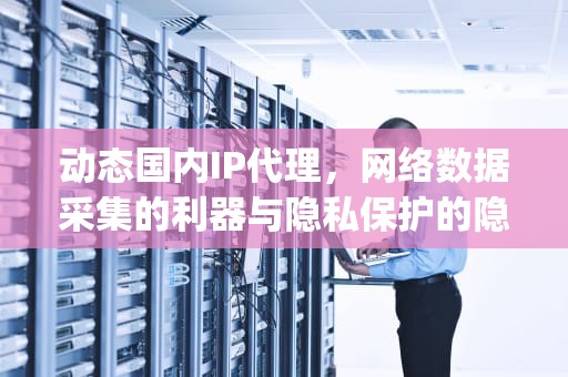 动态国内IP代理，网络数据采集的利器与隐私保护的隐形盾牌，免费改ip的软件