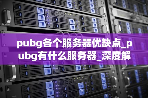 pubg各个服务器优缺点_pubg有什么服务器_深度解析PUBG各个服务器的优缺点