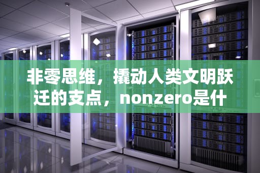 非零思维，撬动人类文明跃迁的支点，nonzero是什么意思