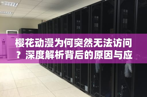 樱花动漫为何突然无法访问？深度解析背后的原因与应对策略，樱花动漫怎么突然看不了了呢