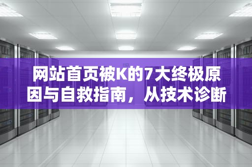 网站首页被K的7大终极原因与自救指南，从技术诊断到战略重生，网站首页被k怎样才能恢复