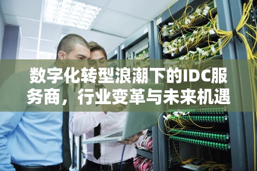 数字化转型浪潮下的IDC服务商，行业变革与未来机遇，idc服务商是什么意思