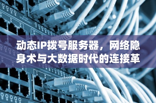 动态IP拨号服务器，网络隐身术与大数据时代的连接革命，动态拨号ip地址