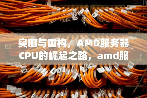 突围与重构，AMD服务器CPU的崛起之路，amd服务器cpu天梯图