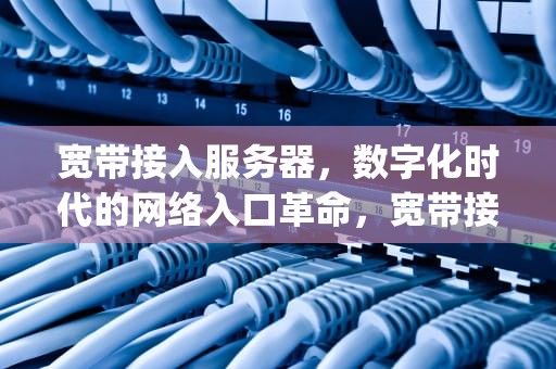 宽带接入服务器，数字化时代的网络入口革命，宽带接入服务器(BRAS)的主要功能是?