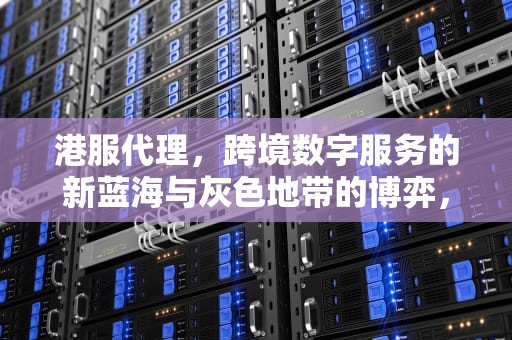 港服代理，跨境数字服务的新蓝海与灰色地带的博弈，港服代理服务器地址和端口号