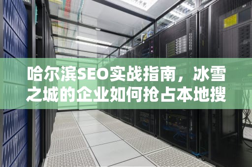 哈尔滨SEO实战指南，冰雪之城的企业如何抢占本地搜索流量高地，哈尔滨seo推广优化
