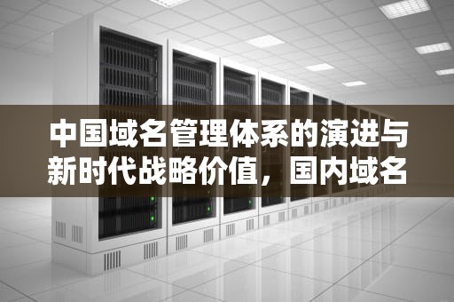 中国域名管理体系的演进与新时代战略价值，国内域名大全