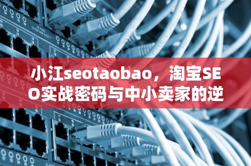 小江seotaobao，淘宝SEO实战密码与中小卖家的逆袭之路，小江南订餐电话
