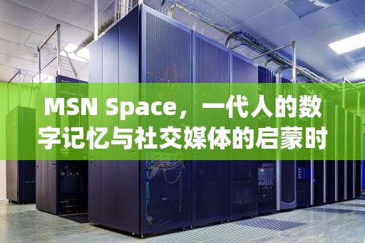 MSN Space，一代人的数字记忆与社交媒体的启蒙时代，msn space空间找回