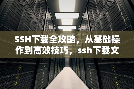 SSH下载全攻略，从基础操作到高效技巧，ssh下载文件到本地命令