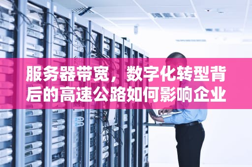 服务器带宽，数字化转型背后的高速公路如何影响企业性能？服务器带宽是什么意思