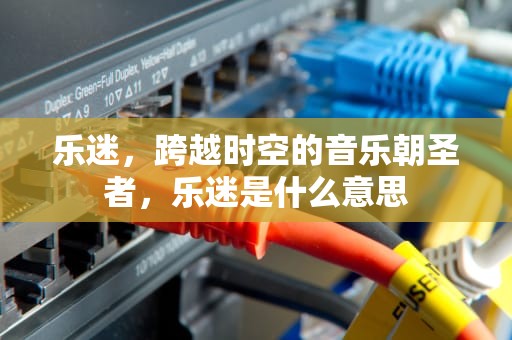 乐迷，跨越时空的音乐朝圣者，乐迷是什么意思