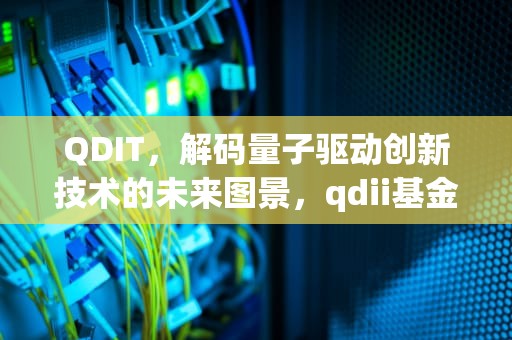 QDIT，解码量子驱动创新技术的未来图景，qdii基金是什么意思