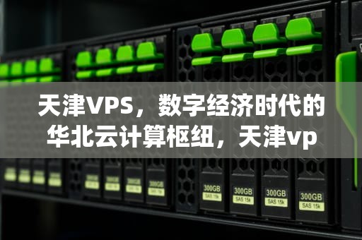 天津VPS，数字经济时代的华北云计算枢纽，天津vpsa