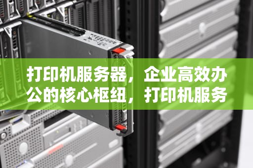 打印机服务器，企业高效办公的核心枢纽，打印机服务器脱机怎么处理