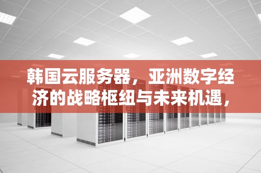 韩国云服务器，亚洲数字经济的战略枢纽与未来机遇，韩国云服务器购买