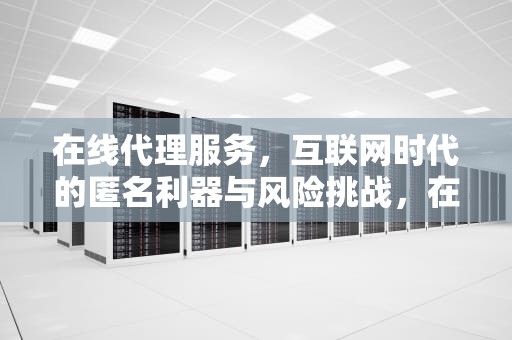 在线代理服务，互联网时代的匿名利器与风险挑战，在线代理服务器