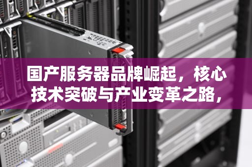 国产服务器品牌崛起，核心技术突破与产业变革之路，国产服务器品牌前十大排名