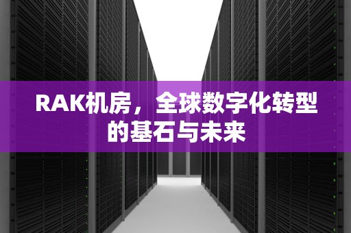 RAK机房，全球数字化转型的基石与未来