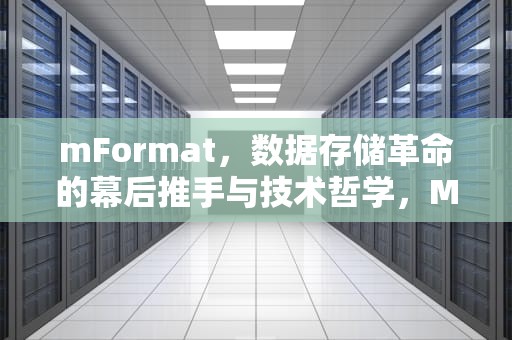 mFormat，数据存储革命的幕后推手与技术哲学，MFORMATION