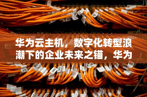 华为云主机，数字化转型浪潮下的企业未来之锚，华为云主机怎么使用