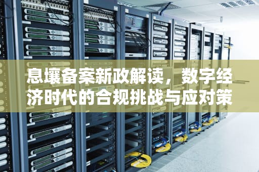 息壤备案新政解读，数字经济时代的合规挑战与应对策略，息壤的签约标准