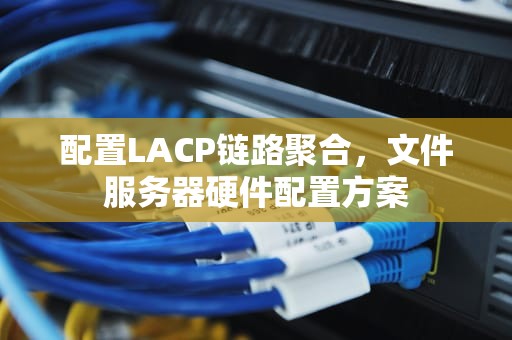 配置LACP链路聚合，文件服务器硬件配置方案