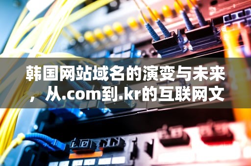 韩国网站域名的演变与未来，从.com到.kr的互联网文化探析，韩国网站域名后缀
