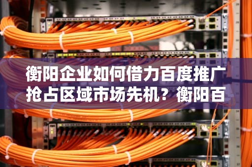 衡阳企业如何借力百度推广抢占区域市场先机？衡阳百度推广公司