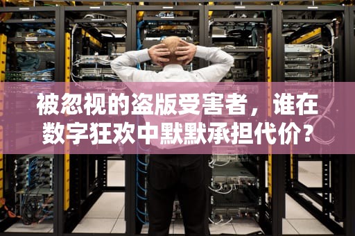 被忽视的盗版受害者，谁在数字狂欢中默默承担代价？盗版受害者怎么办