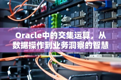 Oracle中的交集运算，从数据操作到业务洞察的智慧桥梁，oracle交集运算符