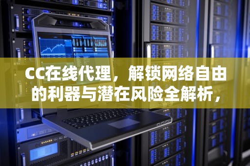 CC在线代理，解锁网络自由的利器与潜在风险全解析，cc在线代理网页代理