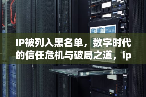 IP被列入黑名单，数字时代的信任危机与破局之道，ip被列入黑名单怎么办