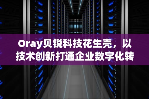 Oray贝锐科技花生壳，以技术创新打通企业数字化转型的最后一公里，贝锐科技花生壳是啥