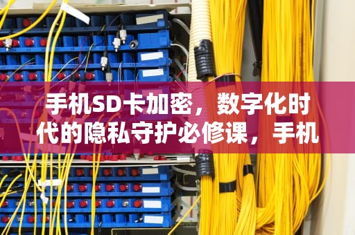 手机SD卡加密，数字化时代的隐私守护必修课，手机sd卡加密软件有哪些