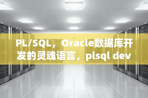 PL/SQL，Oracle数据库开发的灵魂语言，plsql developer