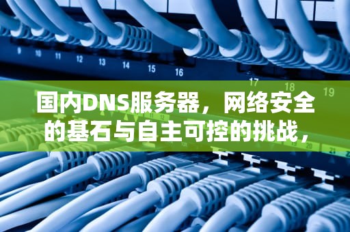 国内DNS服务器，网络安全的基石与自主可控的挑战，国内DNS服务器地址