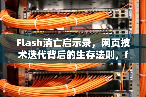 Flash消亡启示录，网页技术迭代背后的生存法则，flash web开发