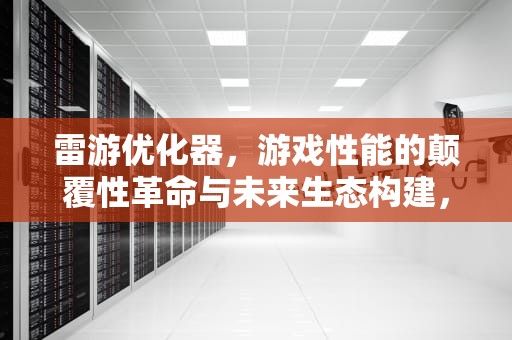 雷游优化器，游戏性能的颠覆性革命与未来生态构建，雷游优化器有用吗
