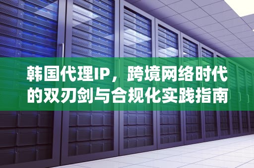 韩国代理IP，跨境网络时代的双刃剑与合规化实践指南，韩国代理ip地址