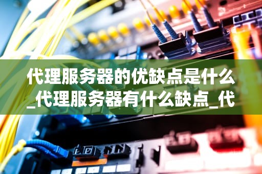 代理服务器的优缺点是什么_代理服务器有什么缺点_代理服务器的优缺点分析