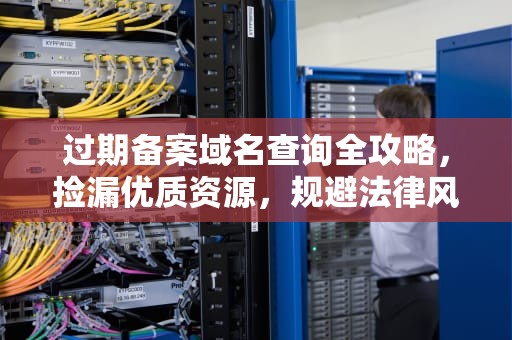 过期备案域名查询全攻略，捡漏优质资源，规避法律风险，过期备案域名查询怎么查