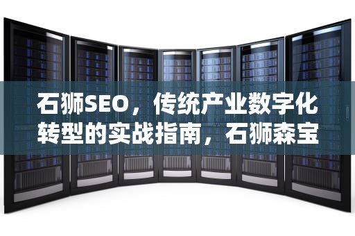 石狮SEO，传统产业数字化转型的实战指南，石狮森宝科技有限公司