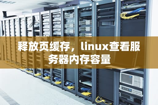 释放页缓存，linux查看服务器内存容量