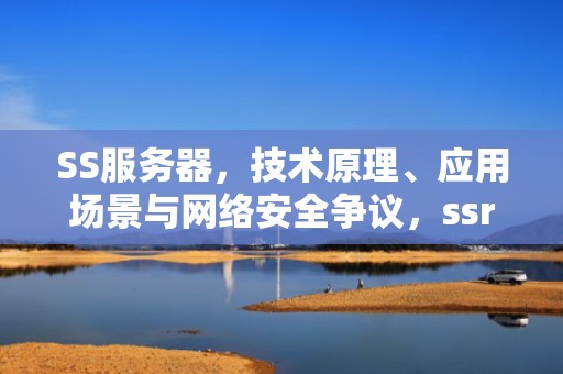 SS服务器，技术原理、应用场景与网络安全争议，ssr服务器