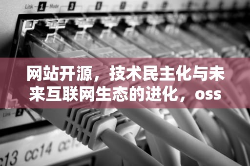 网站开源，技术民主化与未来互联网生态的进化，oss管理网站开源