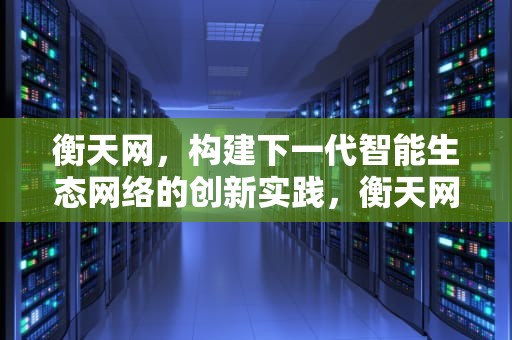 衡天网，构建下一代智能生态网络的创新实践，衡天网吧电话133
