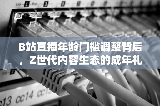 B站直播年龄门槛调整背后，Z世代内容生态的成年礼，未满十八岁可以在哔哩哔哩直播吗?